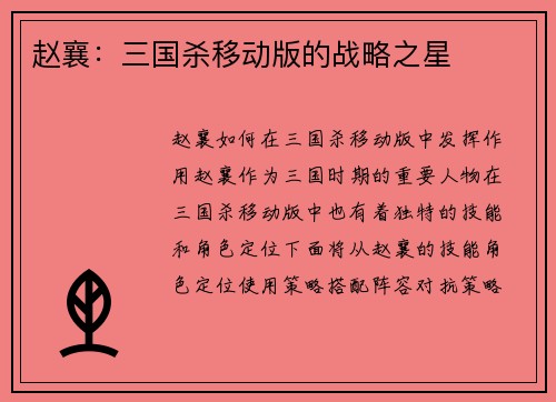 赵襄：三国杀移动版的战略之星